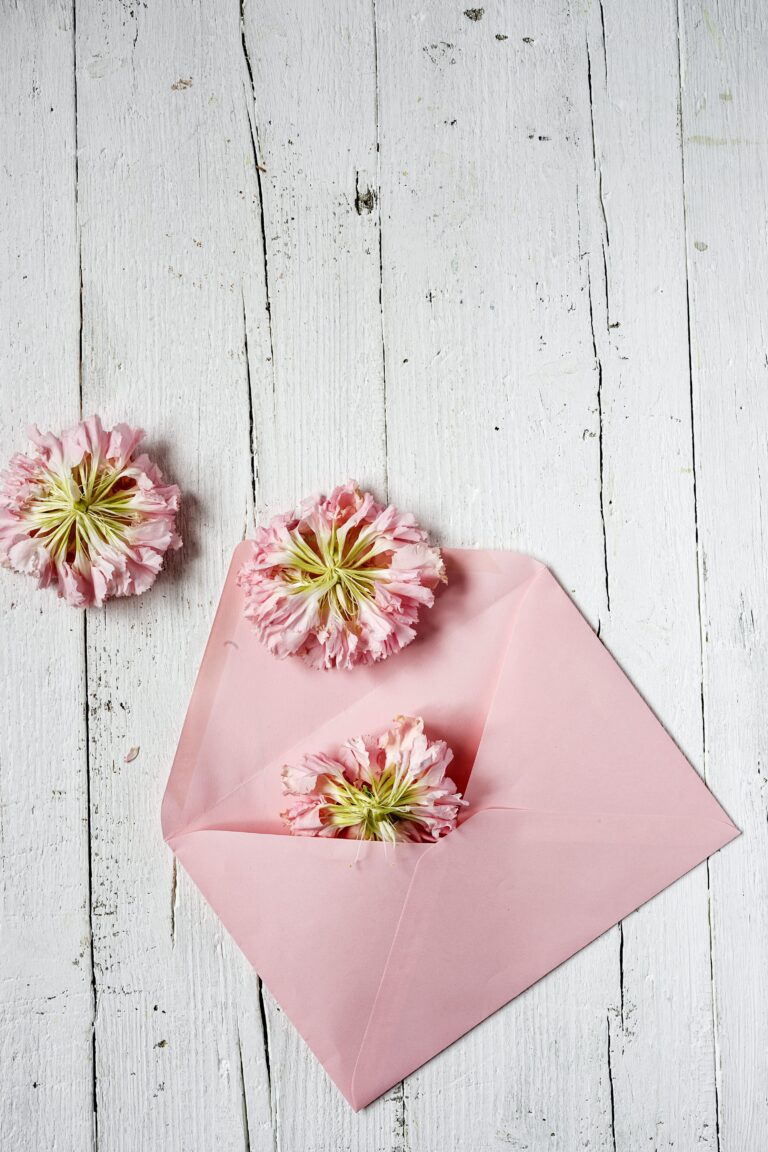 Bono Regalo Nº3 Premium